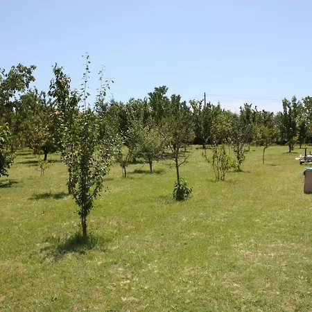 Tuscan Dream Pieve a Nievole