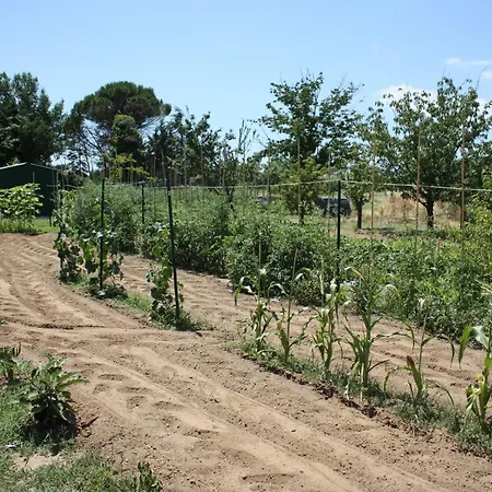 Prázdninový dům Tuscan Dream *